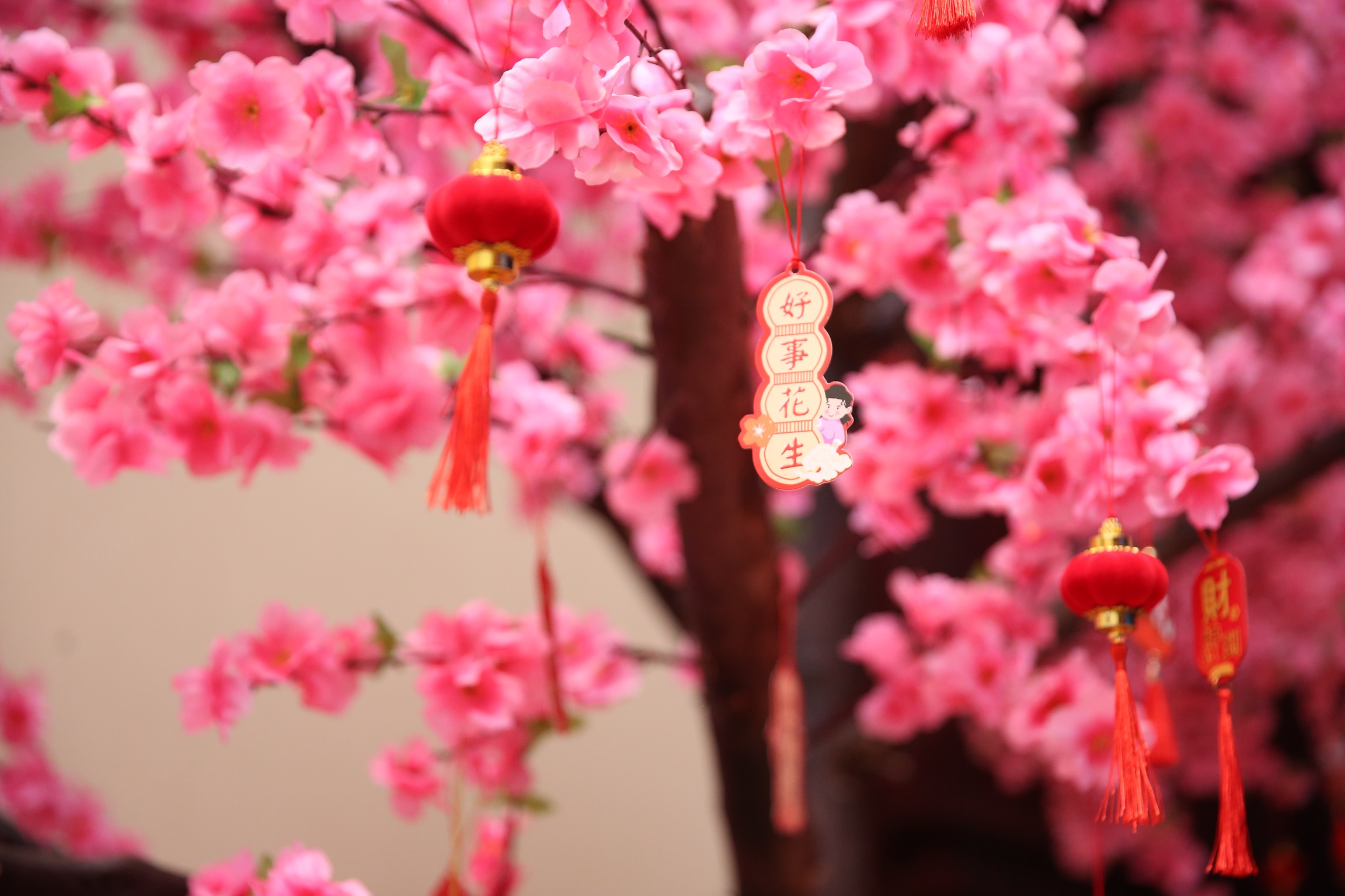 16430979611180923392.jpg 物料環(huán)境 (6).JPG